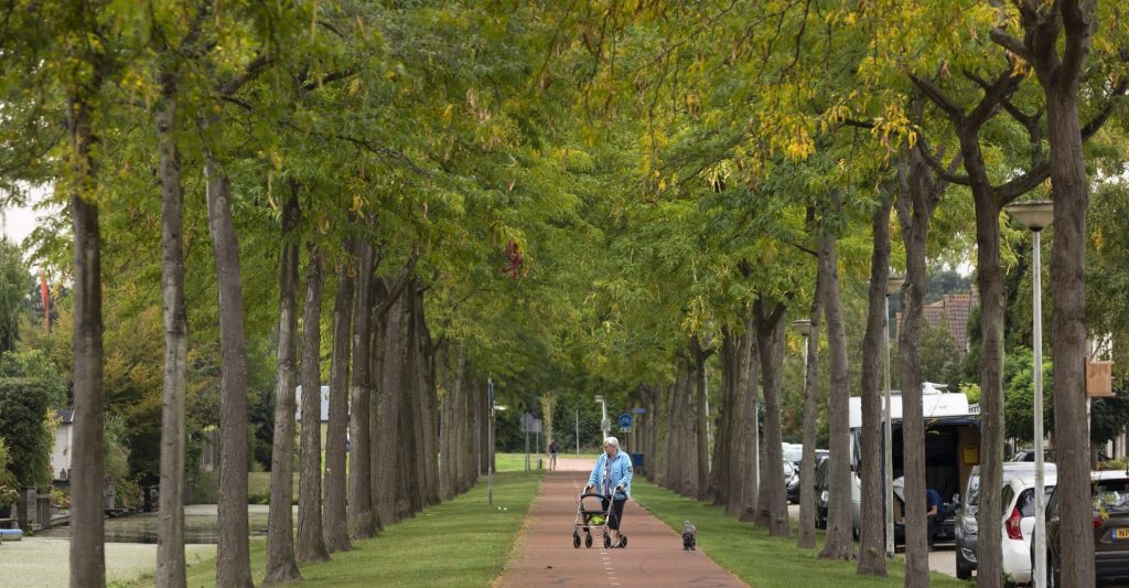 Klein winkelcentrum dichtbij
