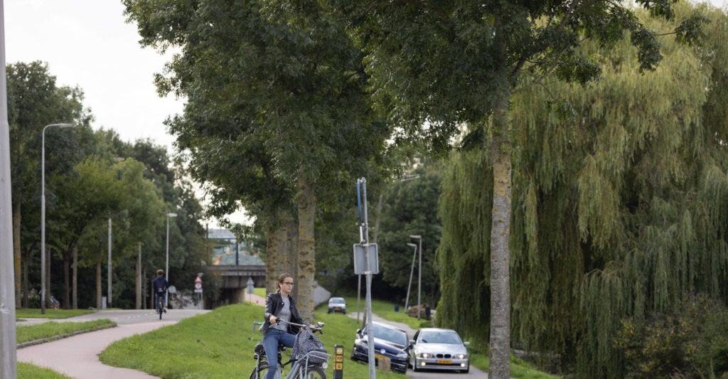 In een woonwijk, met het centrum op loopafstand.