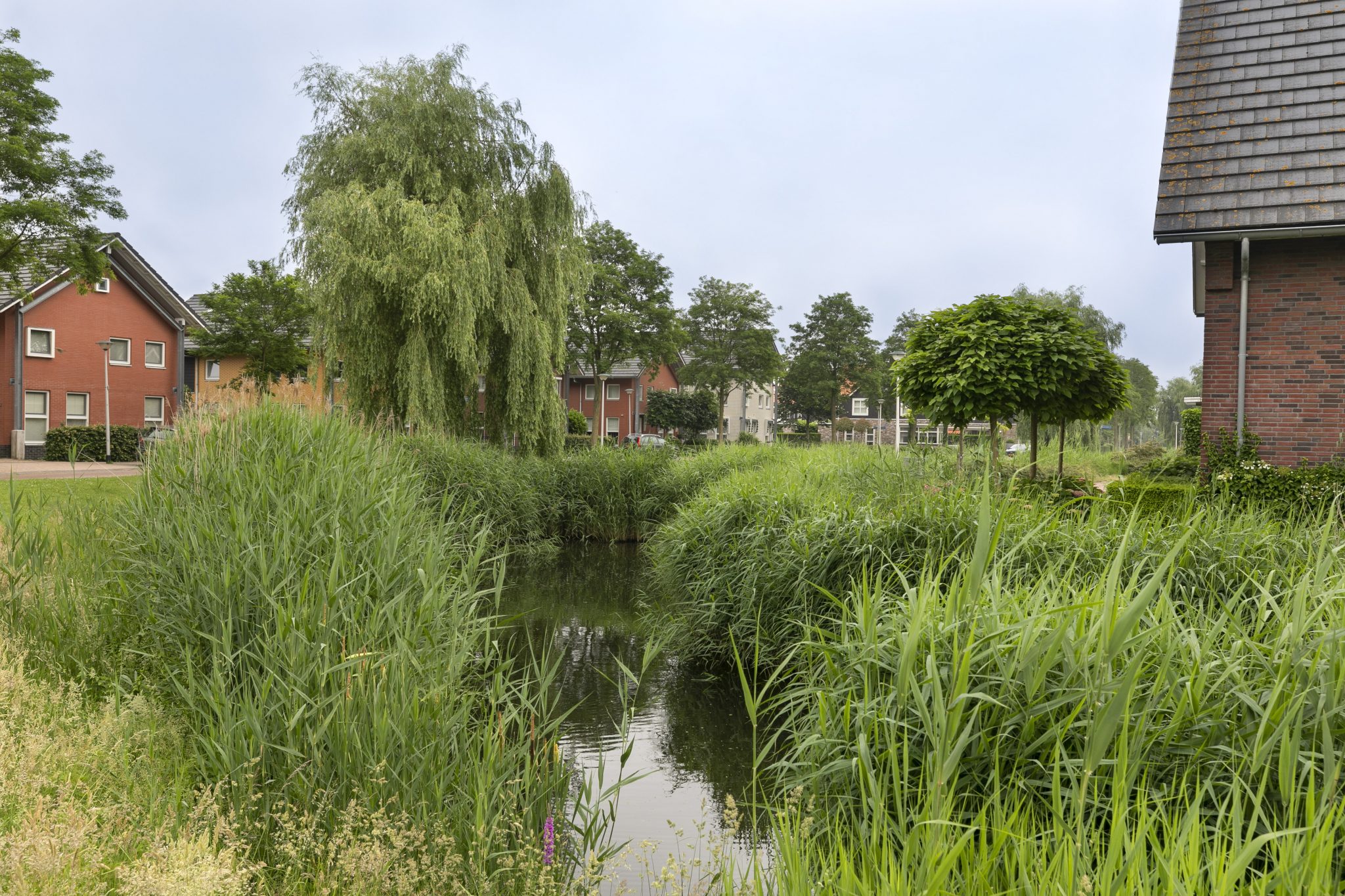Met een winkelcentrum, huis- en tandarts en sportaccommodaties in de buurt, en het OV vlakbij.